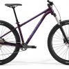 Велосипед 29″ Merida Big Trail 400 Silk Dark Purple (Silver-Purple) 2021