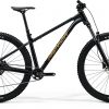 Велосипед 29″ Merida Big.Trail 300 2025