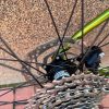 БУ Велосипед 28″ Merida Silex 400 M Green 2024 19382